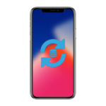 Reset & software repair